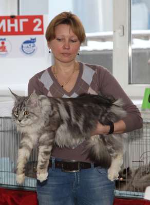 �������� ����� '������� ���-�����' 30 ������-1 ������� 2013., WCF-����� 2902